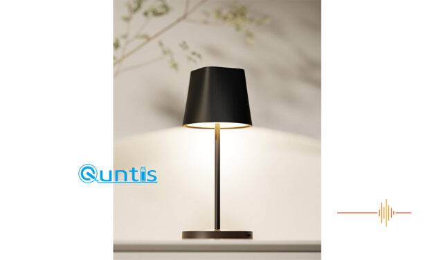 Can the Quntis Cordless Table Lamp brighten your day?